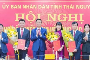 Đồng chí Vương Quốc Tuấn trao quyết định, chúc mừng cán bộ được điều động, bổ nhiệm chức vụ lãnh đạo, quản lý.