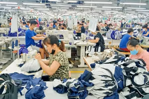 Công ty cổ phần Đầu tư và Thương mại TNG đang nỗ lực giảm tối đa tác động của biến động xăng, dầu đối với sản xuất hàng may mặc xuất khẩu.