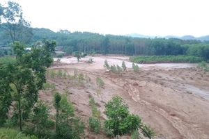 Bùn đất từ hồ chứa tràn xuống rừng trồng, cây cối của người dân ở phía dưới. (Ảnh: Thế Bình)