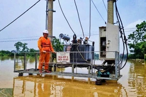 Lũ rút đến đâu, cán bộ Công ty Điện lực Thái Nguyên khắc phục lưới điện bị hư hỏng đến đấy.