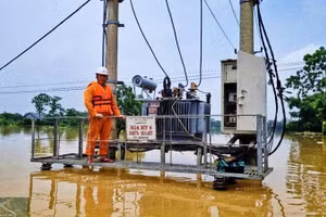 Lũ rút đến đâu, cán bộ Công ty Điện lực Thái Nguyên khắc phục lưới điện bị hư hỏng đến đấy.