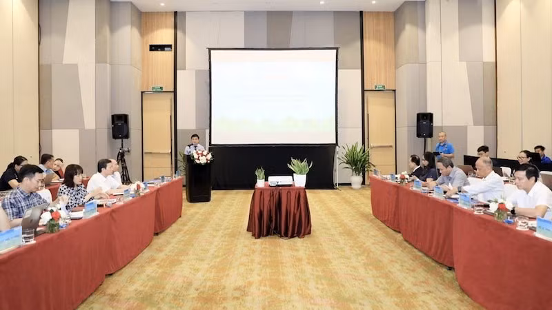 Quang cảnh tọa đàm chiều 6/8.