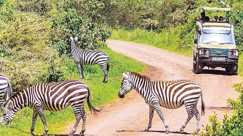 Châu Phi đang ngày càng thu hút sự quan tâm của nhiều du khách quốc tế. (Ảnh: XINHUA)