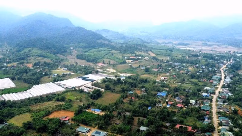 Dòng vốn tín dụng chính sách xã hội đang lặng lẽ lan tỏa, mở ra hướng đi mới cho người dân huyện Quế Phong (cũ).