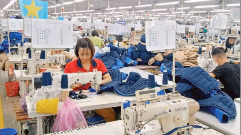 Hoạt động sản xuất tại Công ty cổ phần Đầu tư và thương mại TNG.