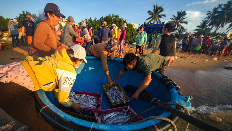 Gần 3 thập kỷ qua, Bivina đã trở thành một phần thân quen trong nhịp sống vùng duyên hải, nơi mỗi giọt mồ hôi đều thấm vị mặn của biển và niềm tự hào lao động.