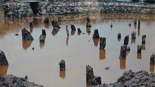 Một góc bãi cọc Yên Giang hiện ngập trong nước để bảo tồn và trưng bày. (Ảnh tư liệu)