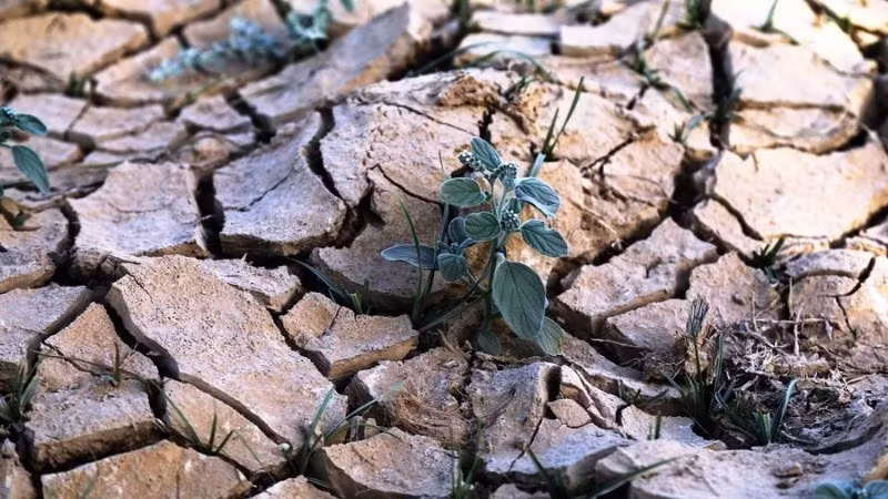 Cuộc khủng hoảng nước tiếp tục gia tăng cả về quy mô và mức độ. (Ảnh minh họa: Tân Hoa Xã)