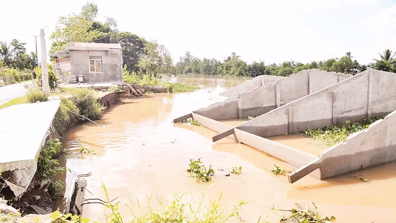 Nhiều ngôi nhà ở Đồng Tháp bị đổ sụp xuống sông do sạt lở. 