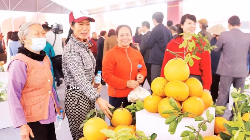 Người dân xã Nội Bài lựa chọn hoa quả trưng Tết tại Không gian Xuân Đoàn Viên.