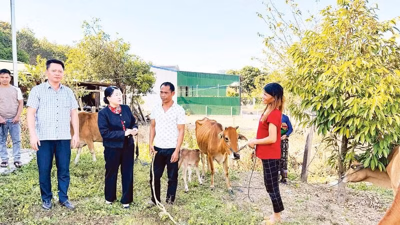 Mô hình “Bò sinh sản” góp phần thay đổi nhận thức, khuyến khích người dân phát triển chăn nuôi theo hướng bền vững.