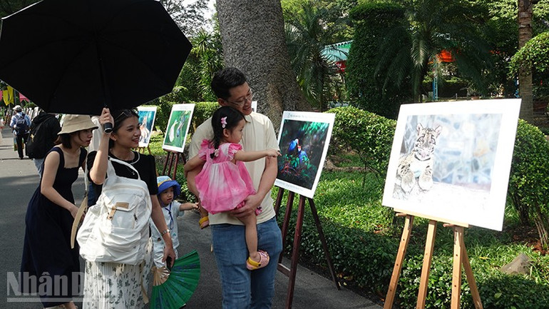 Besökare ser en fotoutställning av djur på Saigon Zoo och Botaniska trädgården. ndo_bl_dsc03114.jpg