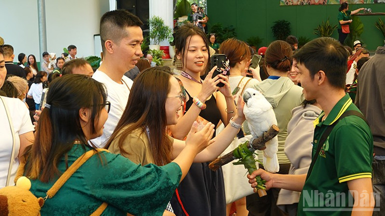 Kakaduor är mycket populära. ndo_br_dsc02952.jpg