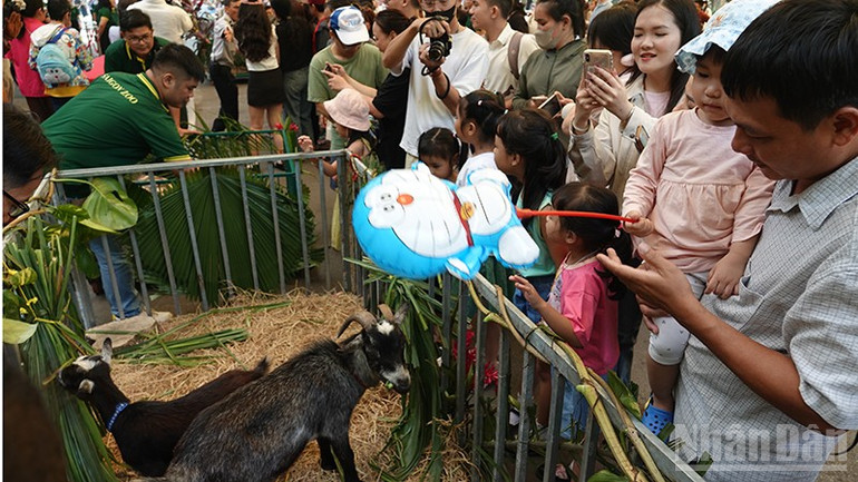 Söta getter omgivna av fläktar. ndo_br_dsc02918.jpg