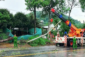 Cây xanh, cột điện ngã đổ ra Quốc lộ 20 đoạn qua xã Hà Lâm, huyện Đạ Huoai, tỉnh Lâm Đồng.