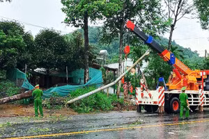 Cây xanh, cột điện ngã đổ ra Quốc lộ 20 đoạn qua xã Hà Lâm, huyện Đạ Huoai, tỉnh Lâm Đồng.