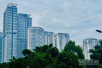 Thị trường ghi nhận sự dịch chuyển tâm lý người mua bất động sản 2026, từ kỳ vọng tăng giá sang giá trị khai thác dòng tiền. (Ảnh: HNV)