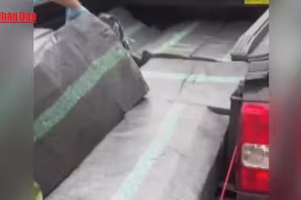 [Video] Bắt giữ xe bán tải chở hơn 200kg pháo trên quốc lộ