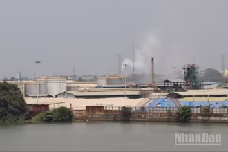 Khu công nghiệp Biên Hòa 1 nằm sát sông Đồng Nai nguy cơ gây ô nhiễm môi trường rất lớn.