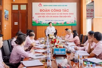 Tổng Giám đốc Dương Quyết Thắng làm việc tại chi nhánh Ngân hàng Chính sách xã hội tỉnh Điện Biên.