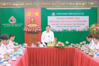 Đoàn công tác làm việc với chi nhánh Ngân hàng Chính sách xã hội tỉnh Đồng Nai.