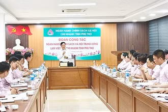 Tổng Giám đốc Ngân hàng Chính sách xã hội Dương Quyết Thắng phát biểu chỉ đạo tại buổi làm việc với chi nhánh Ngân hàng Chính sách xã hội tỉnh Phú Thọ.