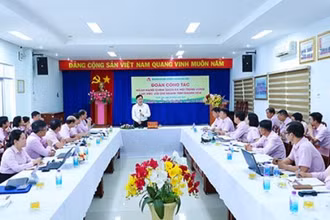 Quang cảnh buổi làm việc.