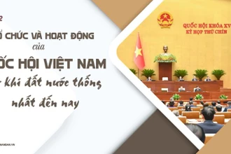 Tổ chức và hoạt động của Quốc hội Việt Nam từ khi đất nước thống nhất đến nay