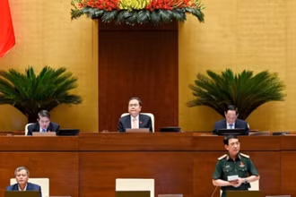 Đại tướng Phan Văn Giang, Bộ trưởng Quốc phòng phát biểu giải trình, làm rõ một số vấn đề đại biểu Quốc hội nêu. (Ảnh DUY LINH)