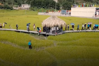 Lễ hội mùa vàng miền Soóng Cọ ở Tiên Yên.