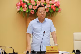 Thứ trưởng Công thương Nguyễn Hoàng Long. (Ảnh: BCT)