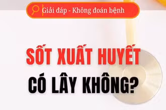 [Video] Sốt xuất huyết có lây từ người sang người?