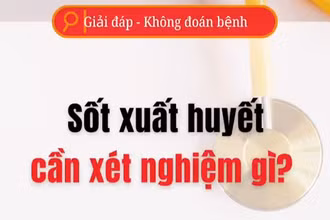 [Video] Cần xét nghiệm gì để phát hiện sốt xuất huyết?