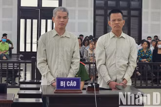 Nguyễn Thái Điền và Đào Nguyên Nghị tại phiên tòa. (Ảnh: AD)
