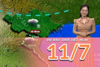 [Video] Dự báo thời tiết ngày 11/7/2025: Mưa lớn gia tăng ở Bắc Bộ 
