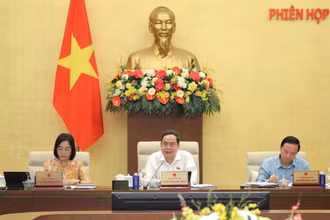 Miễn thuế thu nhập với nhân lực công nghiệp công nghệ số chất lượng cao