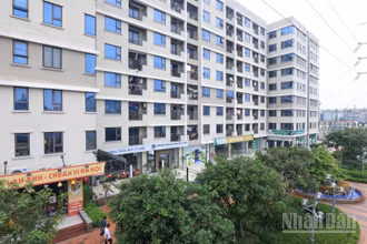 Nhu cầu nhà ở xã hội đang lớn hơn nguồn cung rất nhiều lần. (Ảnh: HNV)