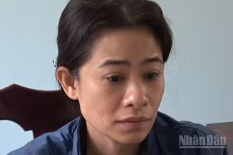 Đối tượng Nguyễn Thị Phương Thảo là kẻ cầm đầu trong vụ án.
