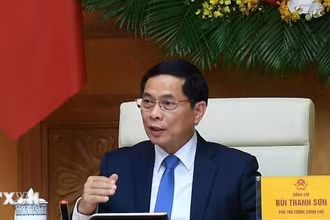 Phó Thủ tướng Bùi Thanh Sơn phát biểu tại buổi tiếp các chuyên gia, nhà khoa học. (Ảnh: TTXVN)