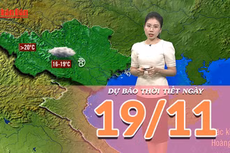 [Video] Dự báo thời tiết ngày 19/11/2025: Bắc Bộ trời rét