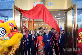 Phó Thủ tướng Thường trực Nguyễn Hòa Bình và các đại biểu thực hiện nghi thức đưa vào vận hành Cổng Thông tin điện tử VIFC-DN ngày 9/1/2026.