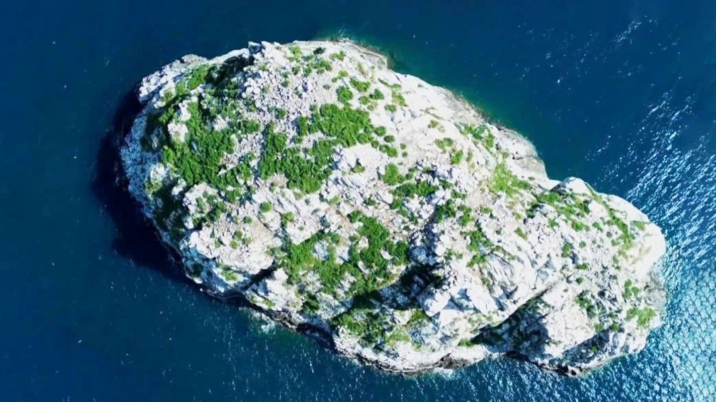 foto-susu-2.jpg