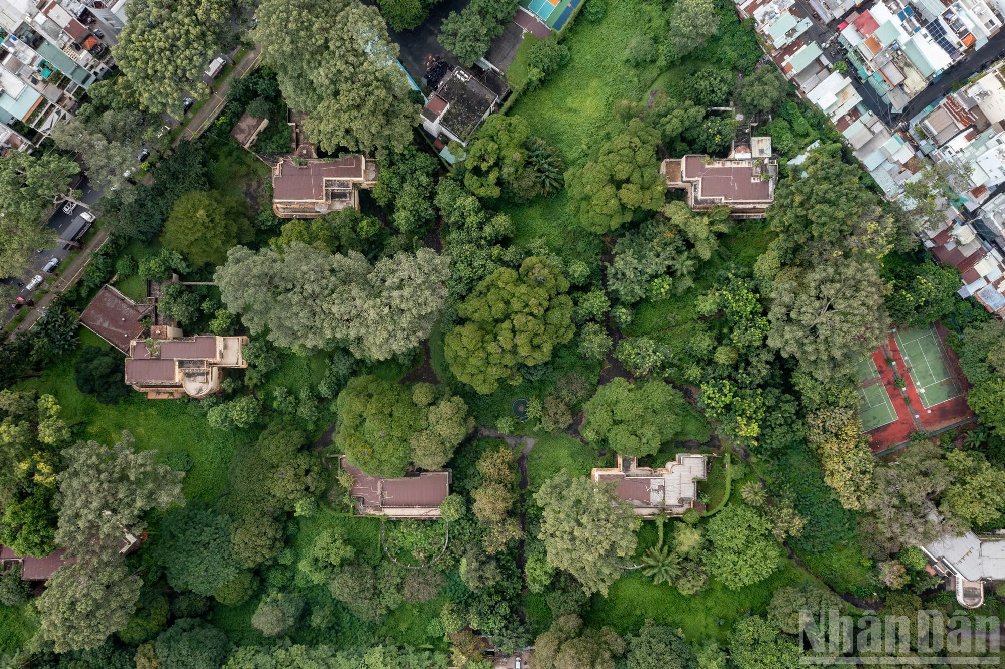 Nhấn vào ảnh để phóng to ndo_br_z7204665245970-0b9ecf638a495b2e6eb38c84f01ac581.jpg?w=1130