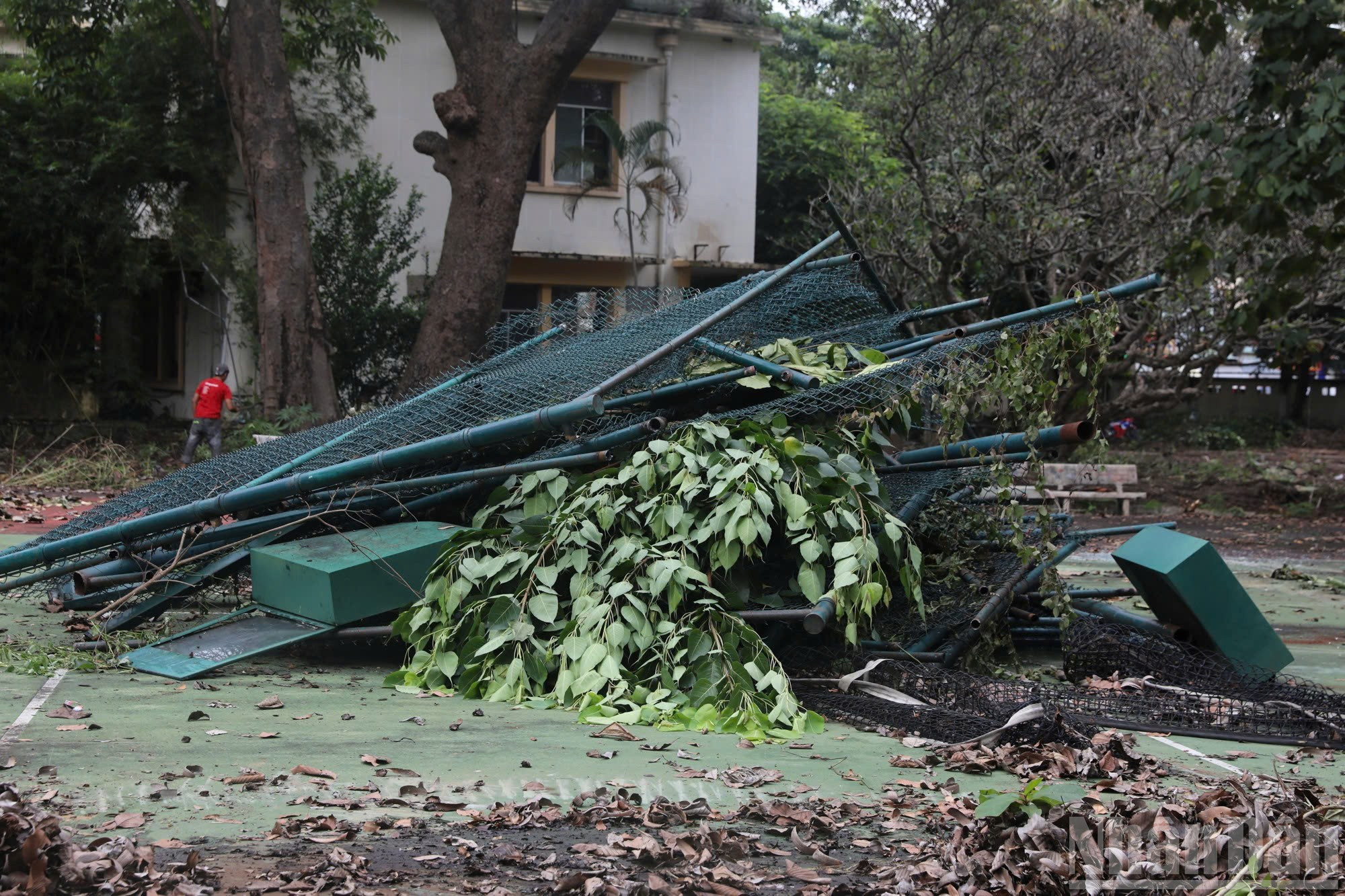 Nhấn vào ảnh để phóng to ndo_br_thao-do-san-quan-vot.jpg?w=1130