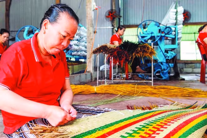 Công nhân Hợp tác xã chiếu cói Hoài Châu Bắc hoàn thiện một công đoạn làm ra chiếc chiếu thành phẩm. (Ảnh MỸ HÀ)