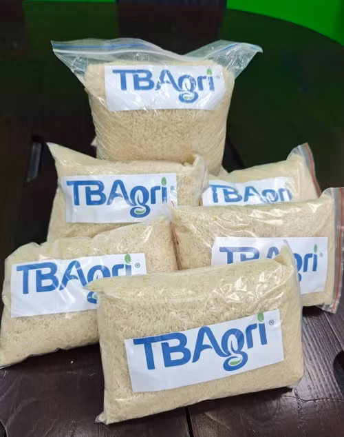 bangiao3.jpg