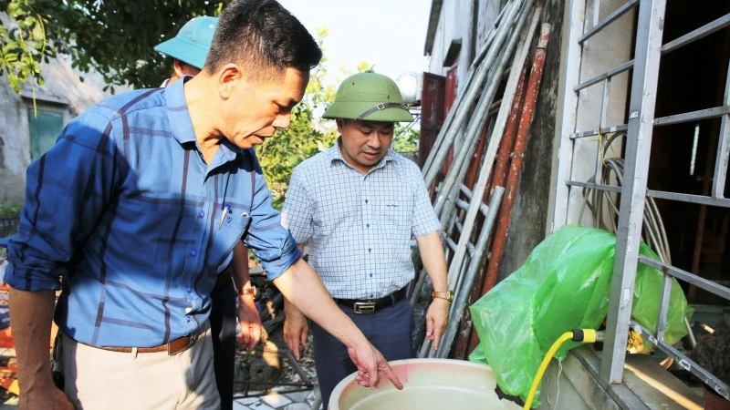 Hà Tĩnh ghi nhận ổ dịch sốt xuất huyết đầu tiên, khẩn cấp phòng chống lây lan
