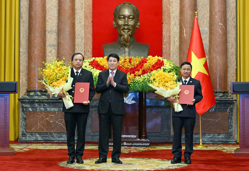 Chủ tịch nước Lương Cường trao quyết định bổ nhiệm Phó Chánh án Tòa án Nhân dân tối cao. (Ảnh THỦY NGUYÊN)