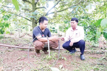 Anh Y Grin Knul ở buôn Ka Na A, xã Cư M’gar đầu tư hệ thống tưới tiết kiệm, khắc phục tình trạng thiếu nước.