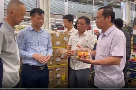 Kiểm tra chất lượng vải thiều sau khi đến nước Pháp.